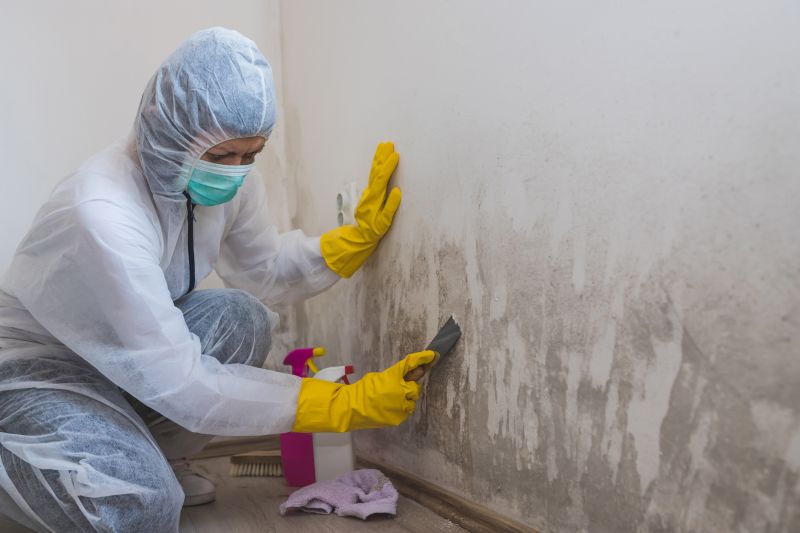 Mold Remediation Teams